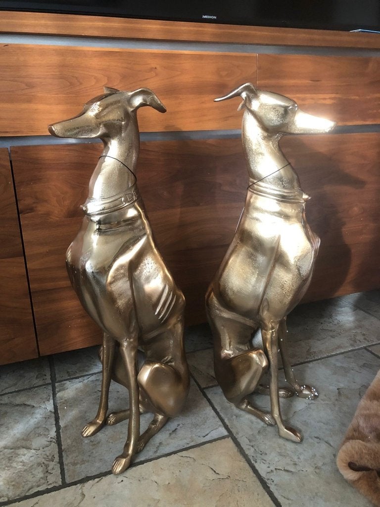 2 x grote statige windhonden whippet hazewindhond, Ophalen of Verzenden