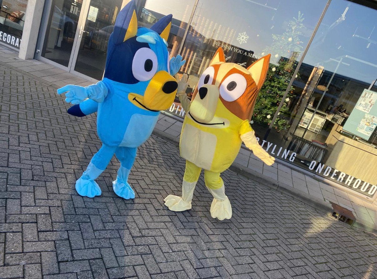 Bluey & Bingo mascotte, Hobby en Vrije tijd, Ophalen, Zo goed als nieuw, Verjaardag