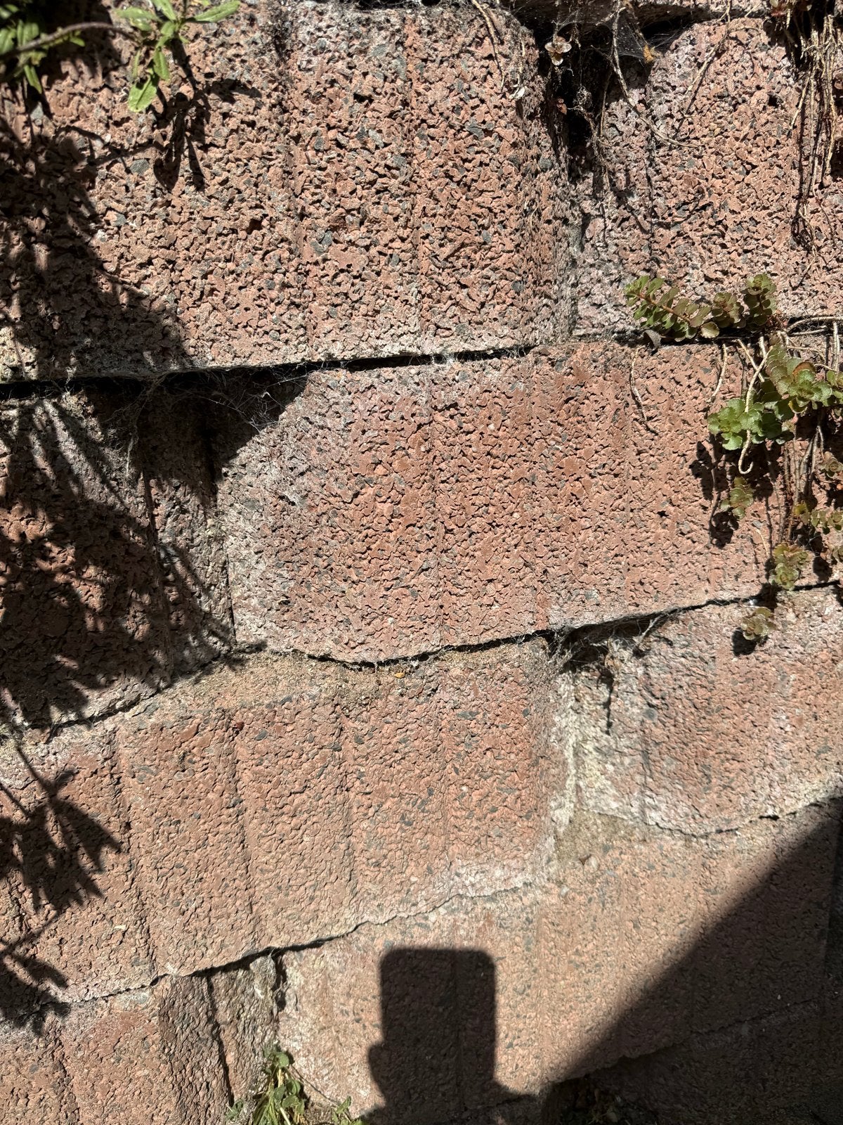 GEZOCHT Gebruikte betonnen stapelblokken voor tuin of muur, Ophalen, Gebruikt, Beton