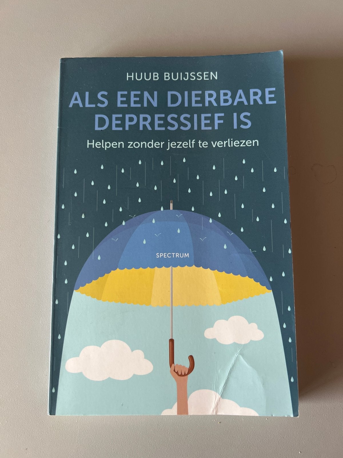 Als een dierbare depressief is - Huub Buijssen, Boeken, Ophalen of Verzenden, Gelezen, Klinische psychologie