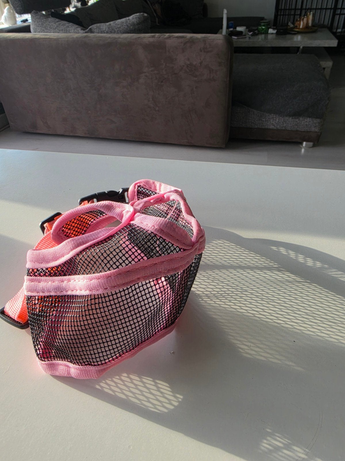 roze muilkorf, Ophalen of Verzenden, Nieuw