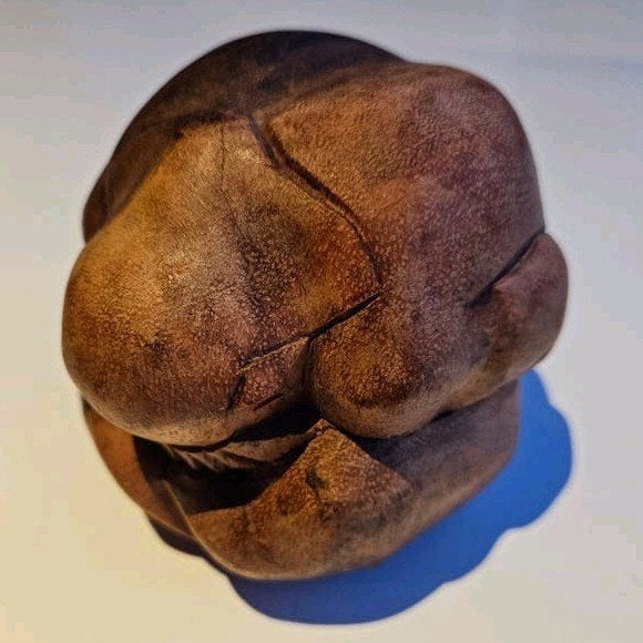 Yogiman Orang Malu Huilende Boedha, Ophalen of Verzenden, Hout