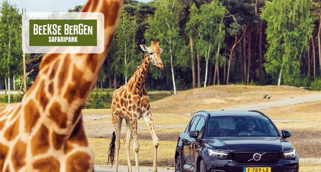 Safaripark Beekse Bergen tickets, Eén persoon, Ticket of Toegangskaart