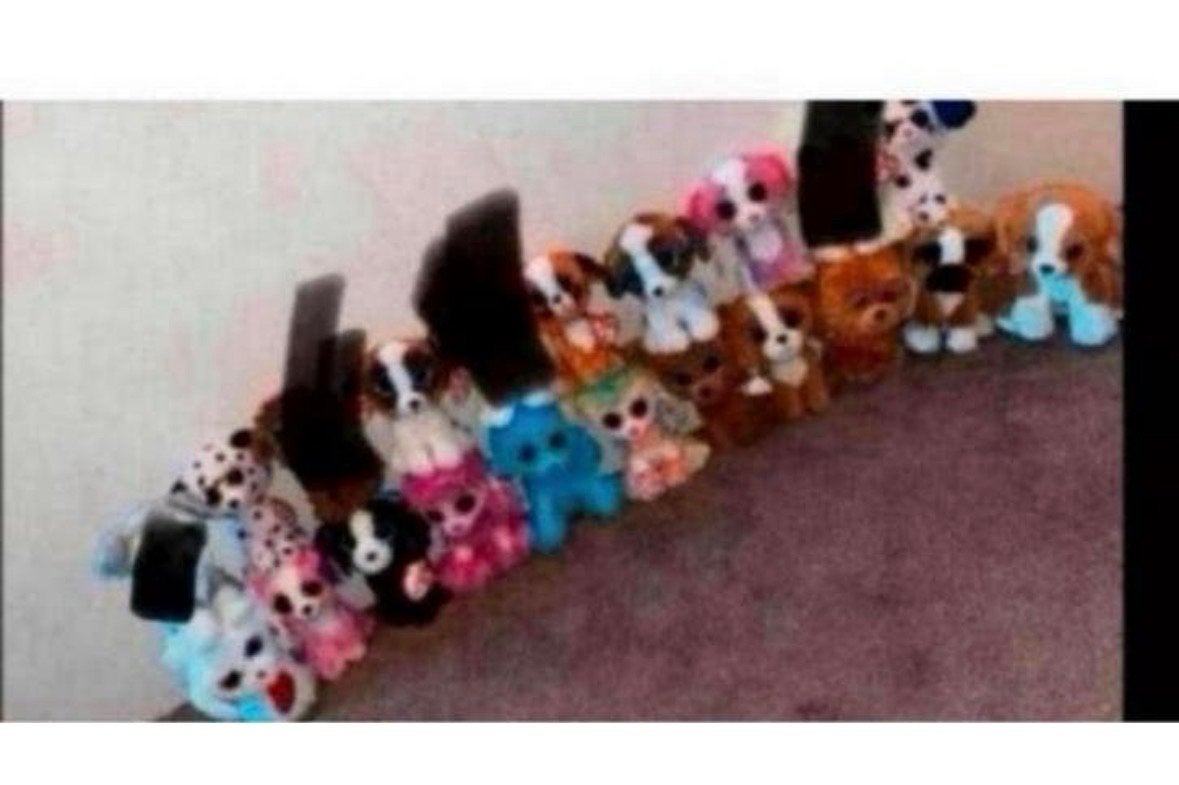 Ty Beanie Boos Hondjes - Nieuw met kaartje, Kinderen en Baby's, Speelgoed | Knuffels en Pluche, Nieuw, Met label, Ty, Hond