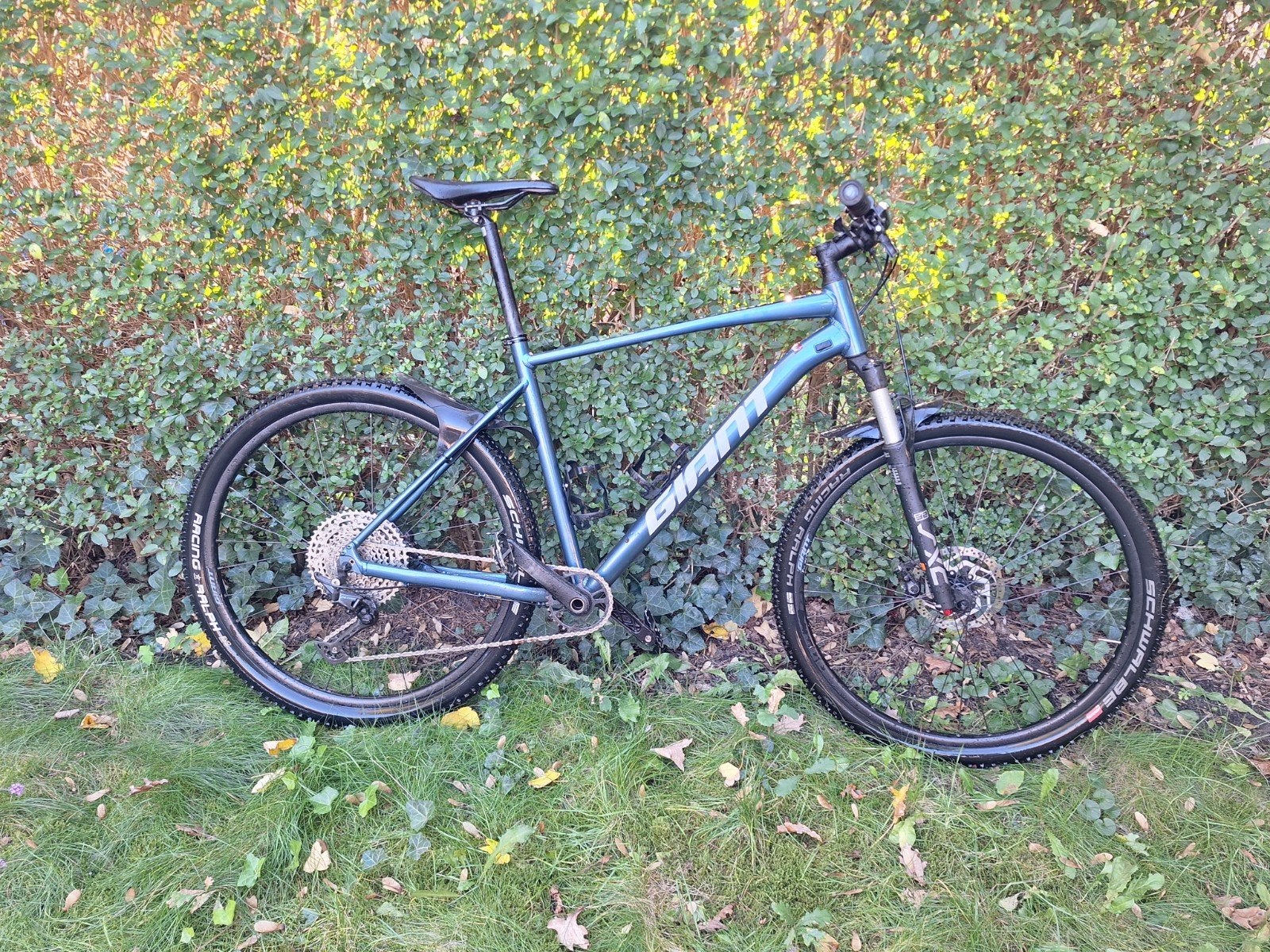 Giant Talon 29 1 Mountainbike - Maat XL, Fietsen en Brommers, Gebruikt, 57 cm of meer, Hardtail, Schijfrem