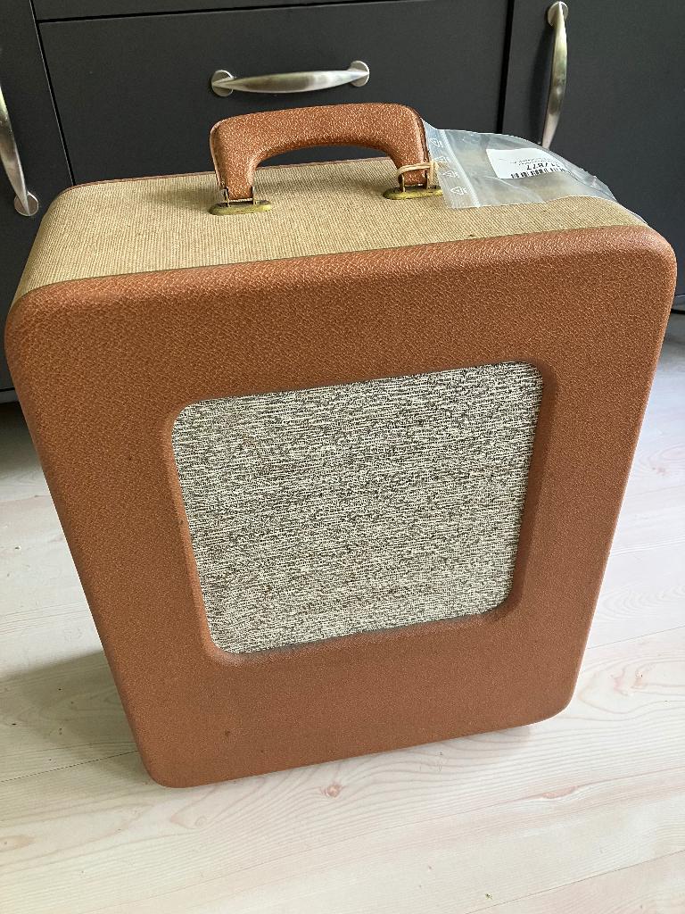 Koffer gitaarversterker, Muziek en Instrumenten, Ophalen, Gebruikt, Gitaar, Minder dan 50 watt