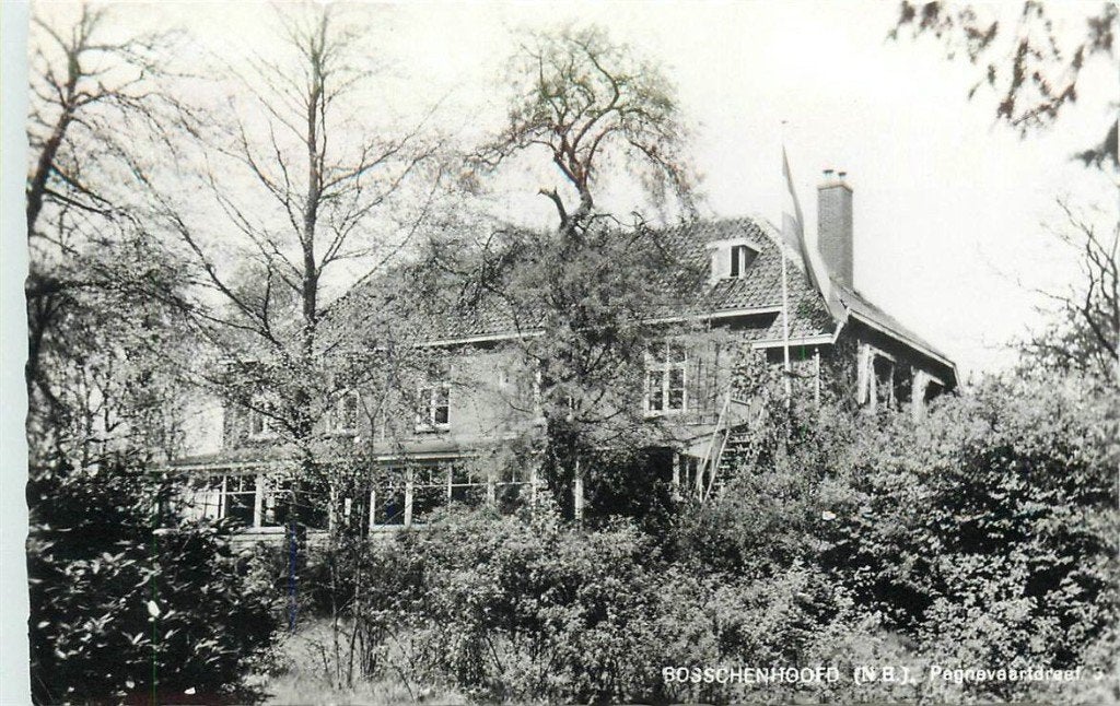 701-194-013 Bosschenhoofd De Wildert, Verzenden, Voor 1920, Noord-Brabant