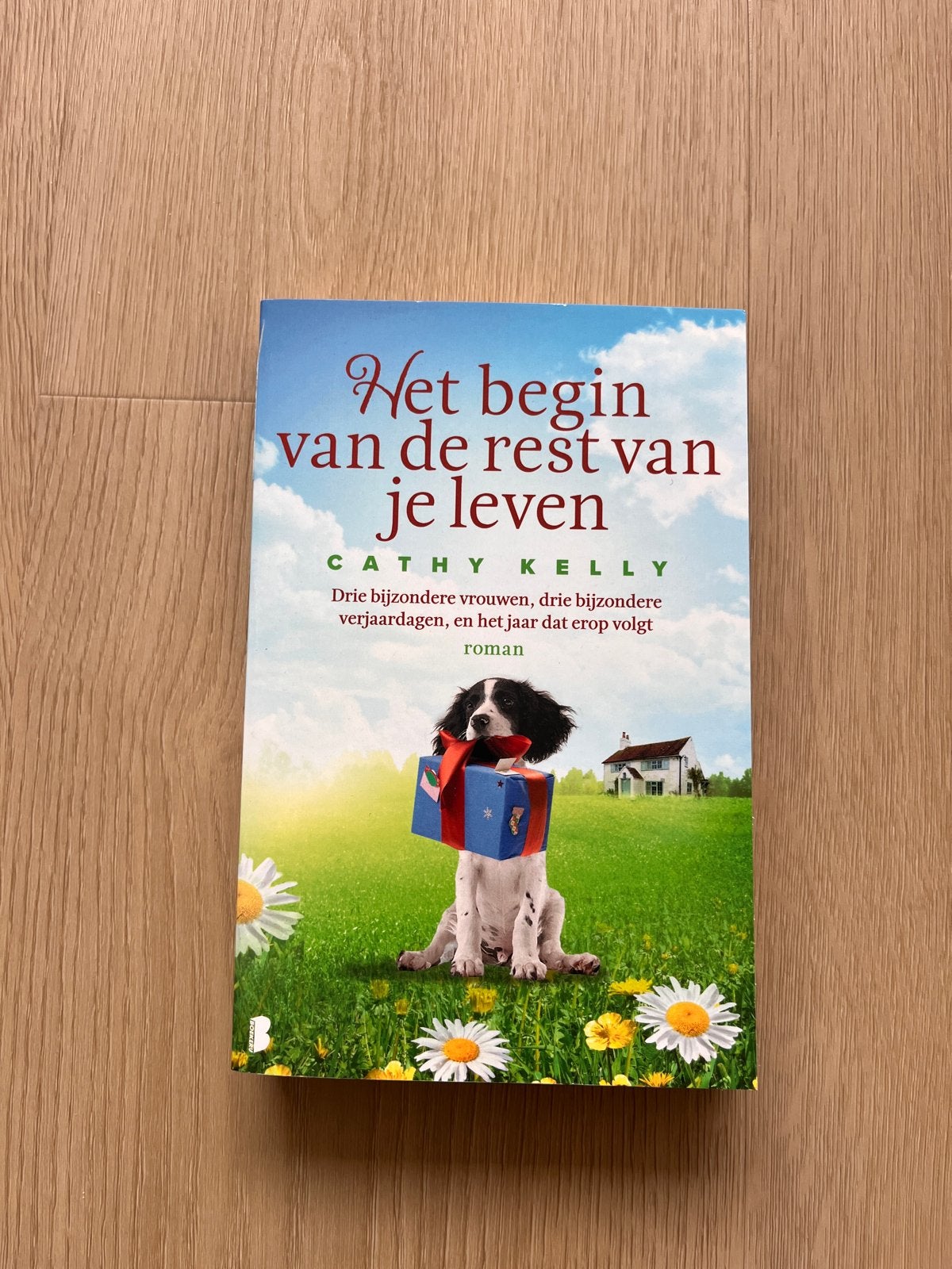 Het begin van de rest van je leven - Cathy Kelly, Boeken, Ophalen of Verzenden, Zo goed als nieuw, Nederland