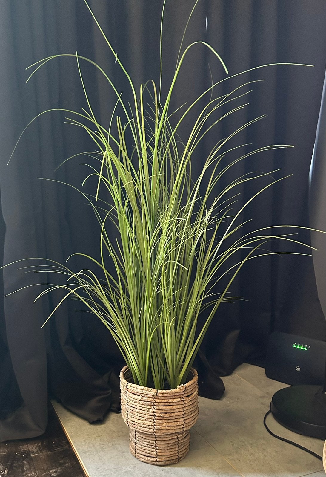 Kunstplant, Ophalen, Groen, Kunstplant, 100 cm