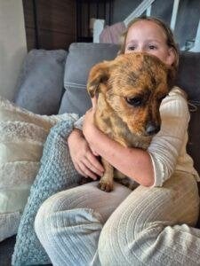 AIN: Petru, Dieren en Toebehoren, 15 weken tot 1 jaar, Buitenland, Eén hond, Klein