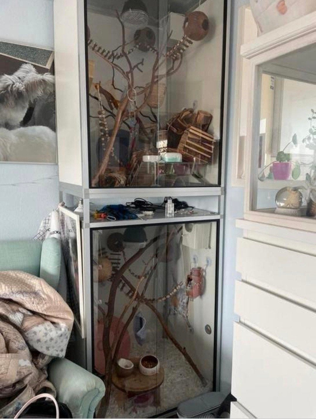 Aluminium terrarium/hok op wielen, Ophalen, Eekhoorn, Minder dan 75 cm, Zo goed als nieuw