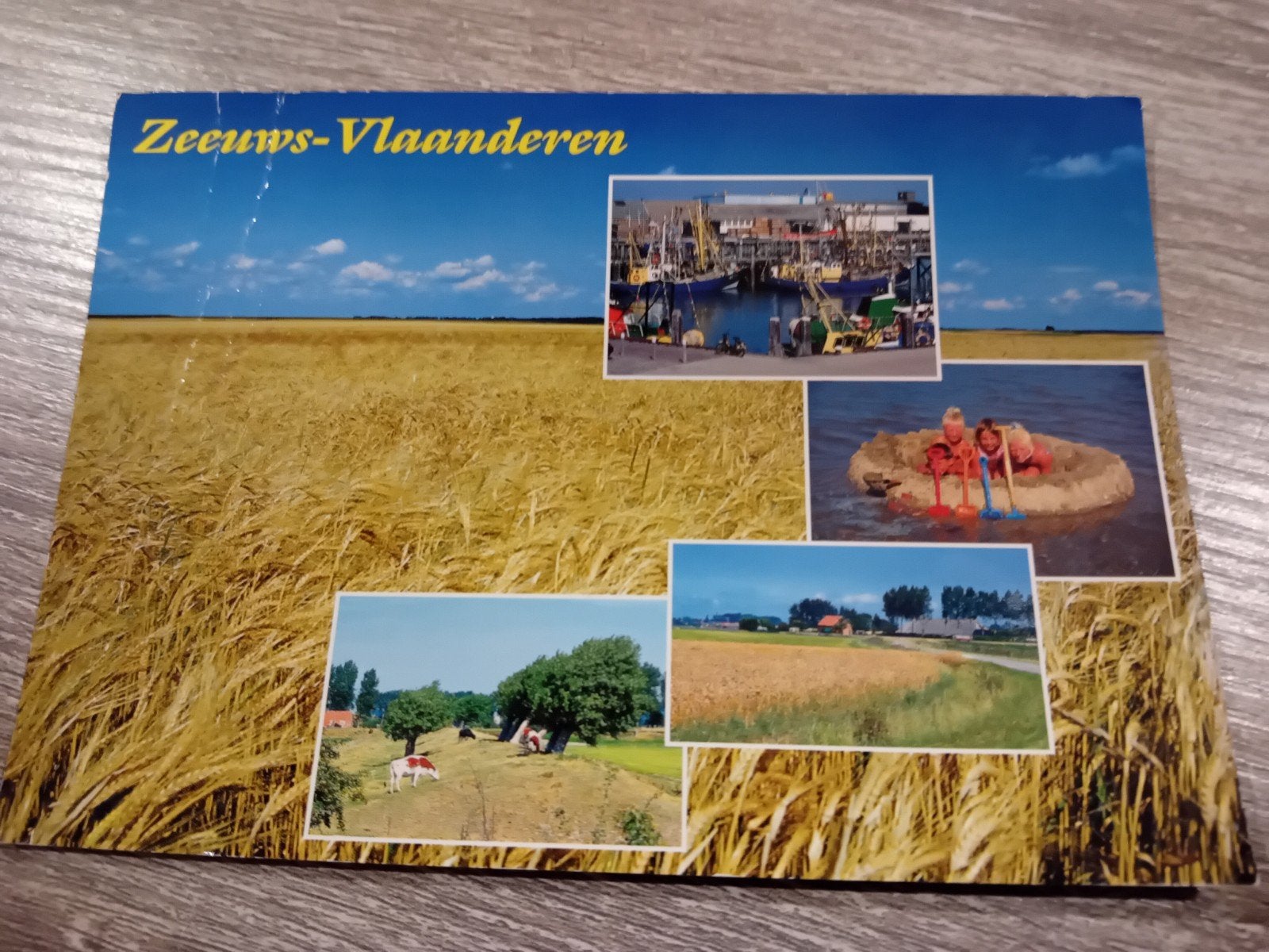 Ansichtkaart Zeeuws-Vlaanderen, Ophalen of Verzenden, 1980 tot heden