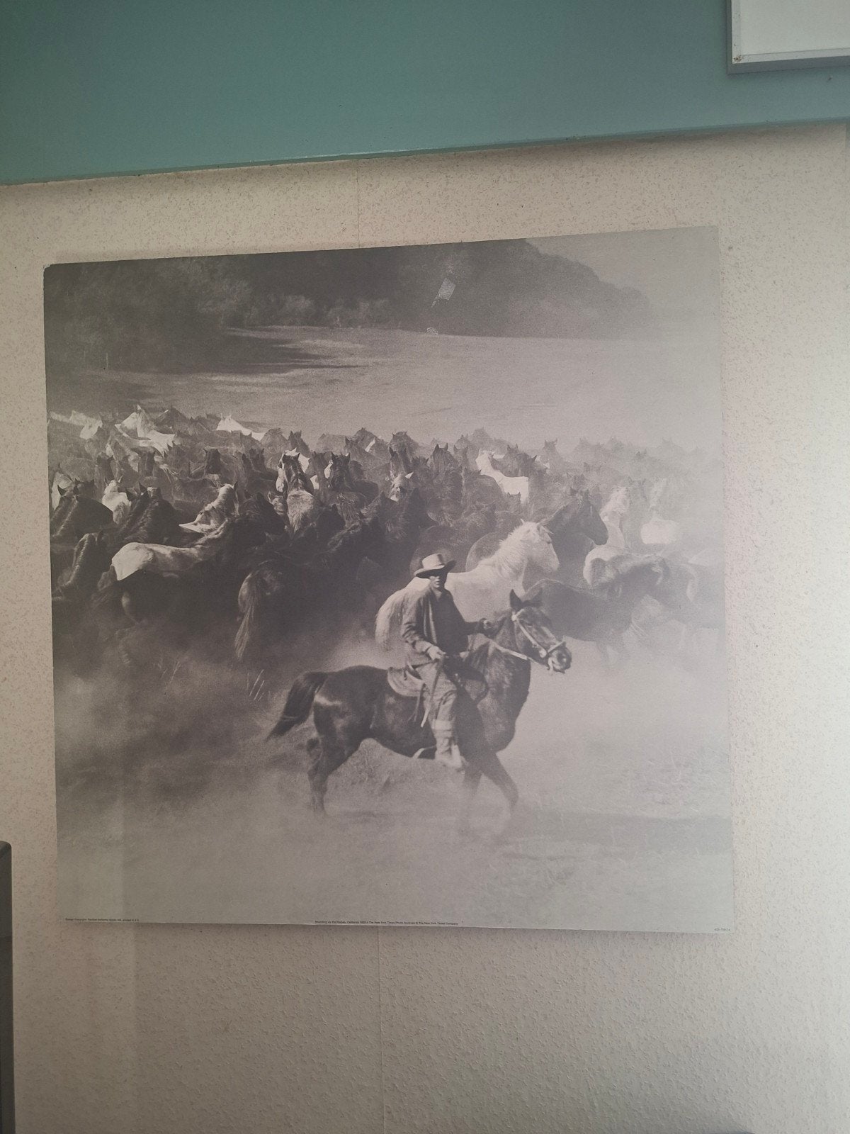 Rounding Up the Horses, Huis en Inrichting, Ophalen, Gebruikt, 75 tot 100 cm, Foto of Poster