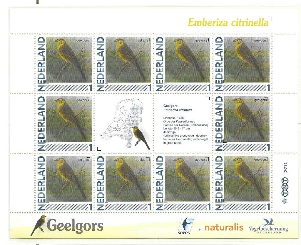 Vel persoonlijke zegels, Vogels Geelgors postfris, Ophalen of Verzenden, Postfris