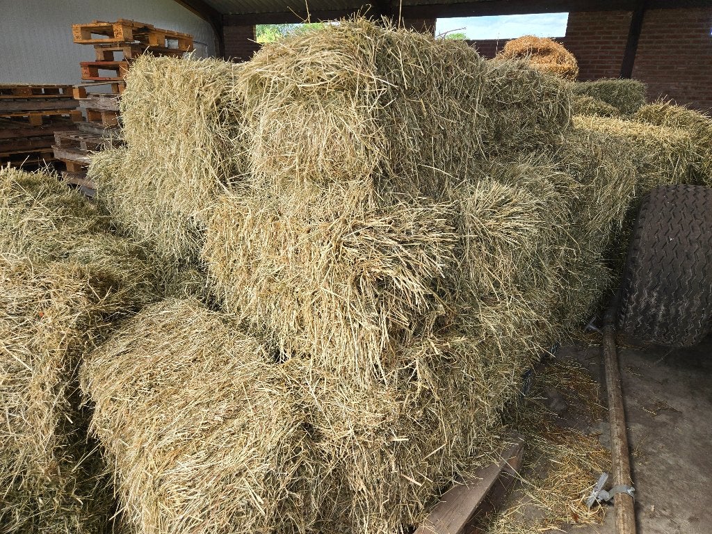 Hooi pakjes, Dieren en Toebehoren, Ophalen, Vee