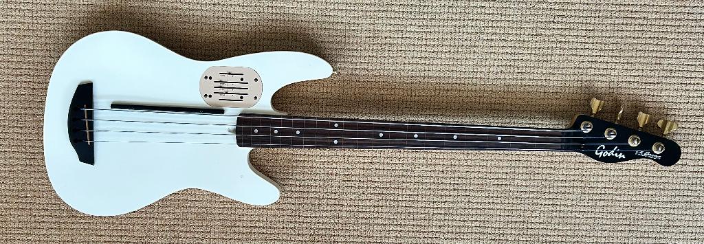 Godin LR Baggs Fretless Bas, Muziek en Instrumenten, Snaarinstrumenten | Gitaren | Bas, Ophalen, Gebruikt, Semi-akoestisch, Fretloos