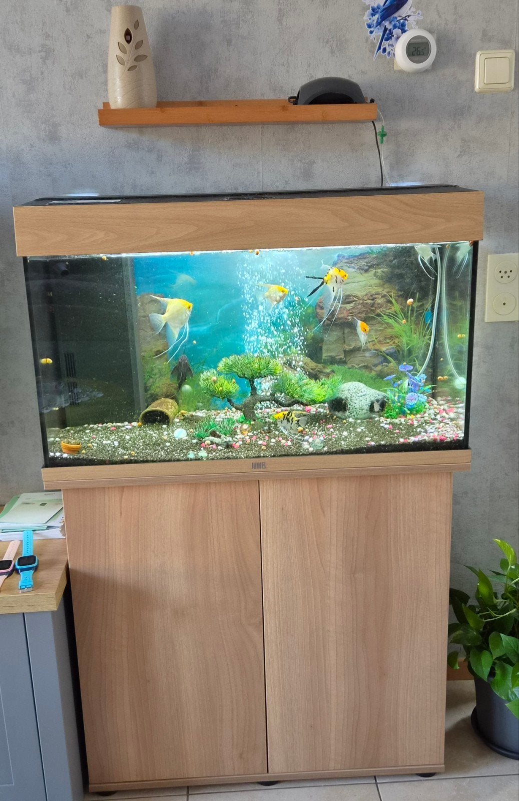 Aquarium Juwel compleet, Ophalen, Aquariummeubel, Inclusief vissen, Zo goed als nieuw