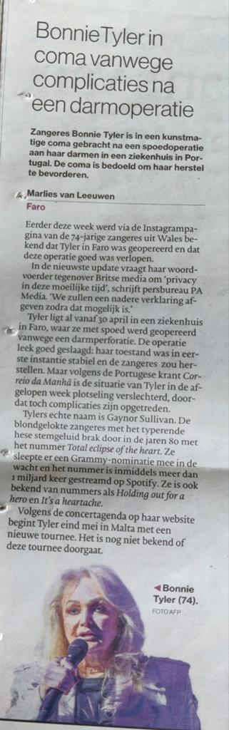 Bonnie Tyler Krantenartikel knipsel, Ophalen of Verzenden, 1980 tot heden, Buitenland, Knipsel(s)