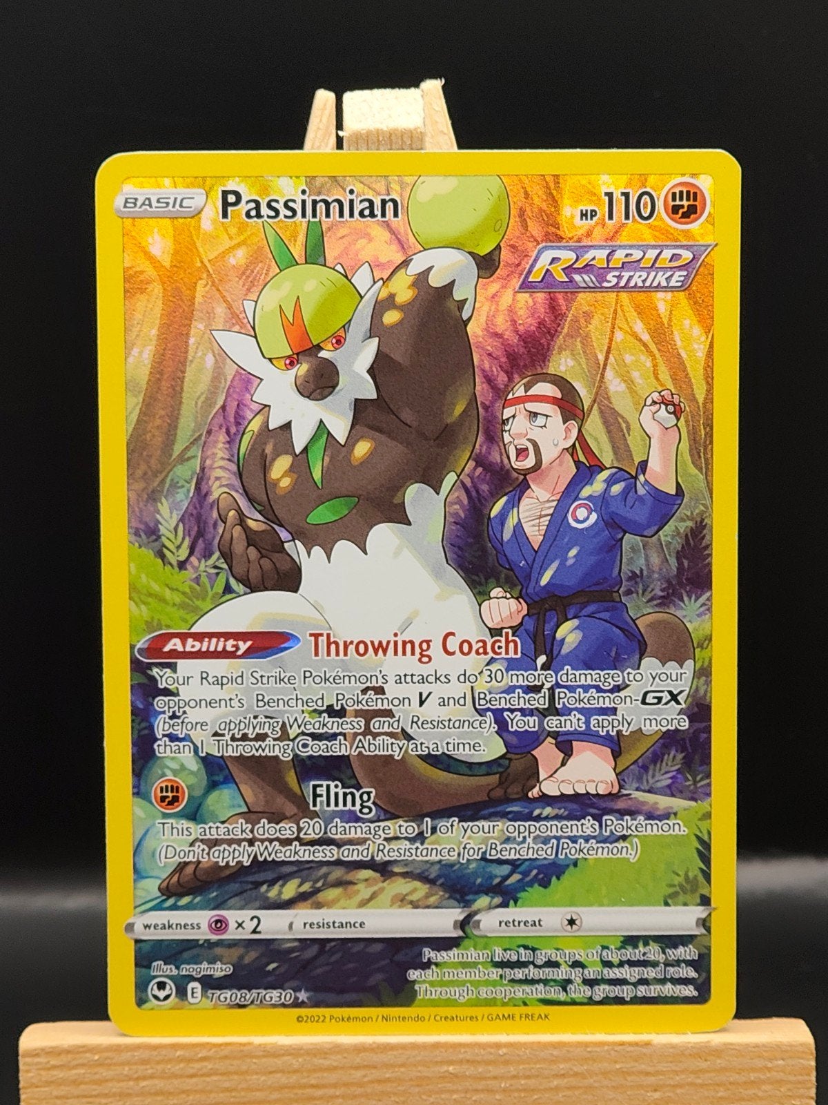 Passimian SIT TG 08, Verzenden, Nieuw, Losse kaart, Foil