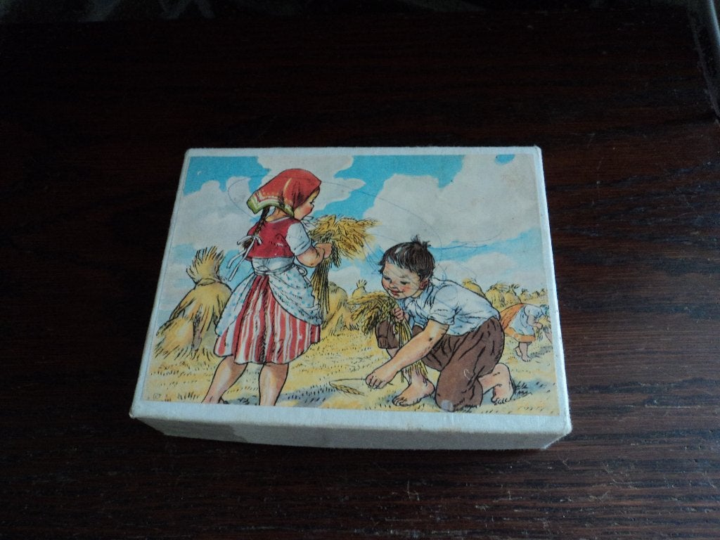 houten blokjes puzzel met platen, Ophalen of Verzenden, 10 tot 50 stukjes, Zo goed als nieuw, 6 jaar of ouder