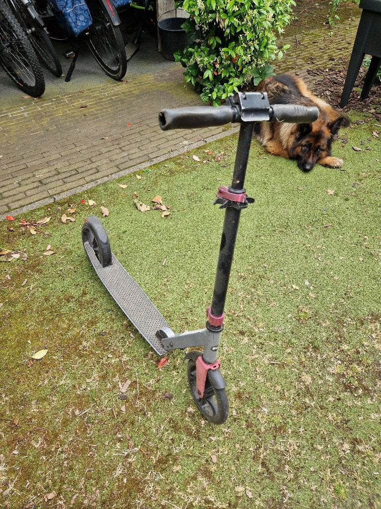 Step, Ophalen, Gebruikt, Gewone step, Crivit