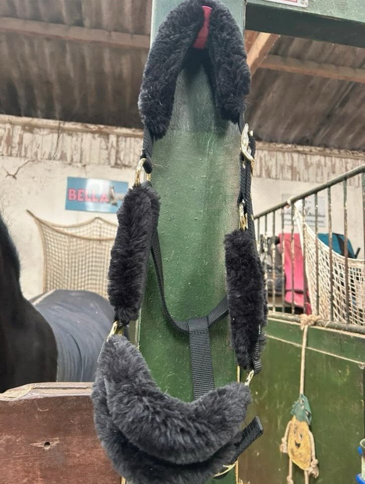 Fouganza halster maat cob, Ophalen of Verzenden, Overige soorten