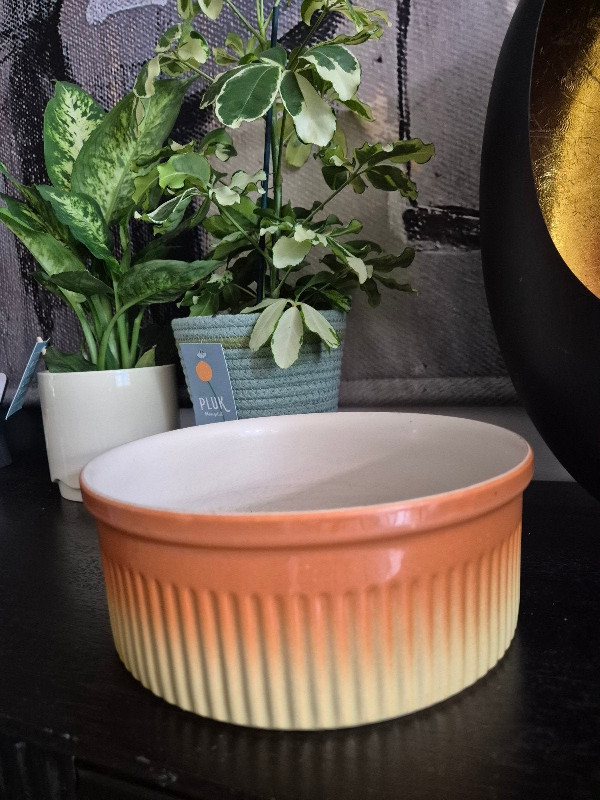 Vintage Parafeu ovenschaal 24 cm Regout & Co Maastricht, Ophalen of Verzenden, Overige materialen
