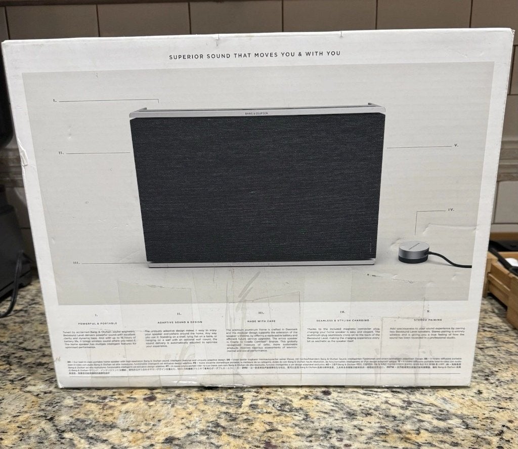 Bang & Olufsen Beosound Level