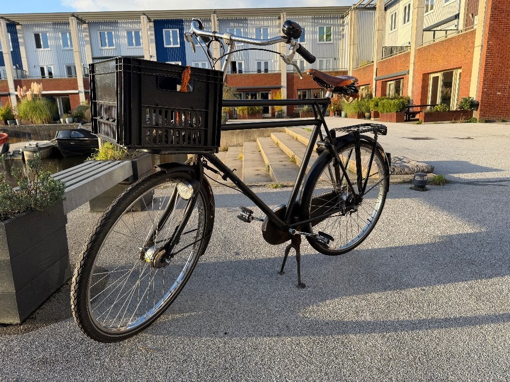 Azor Heavy Duty – Brooks zadel, Nexus 8 speed, naafdynamo, Gebruikt, Versnellingen, 65 cm of meer, Trommelrem
