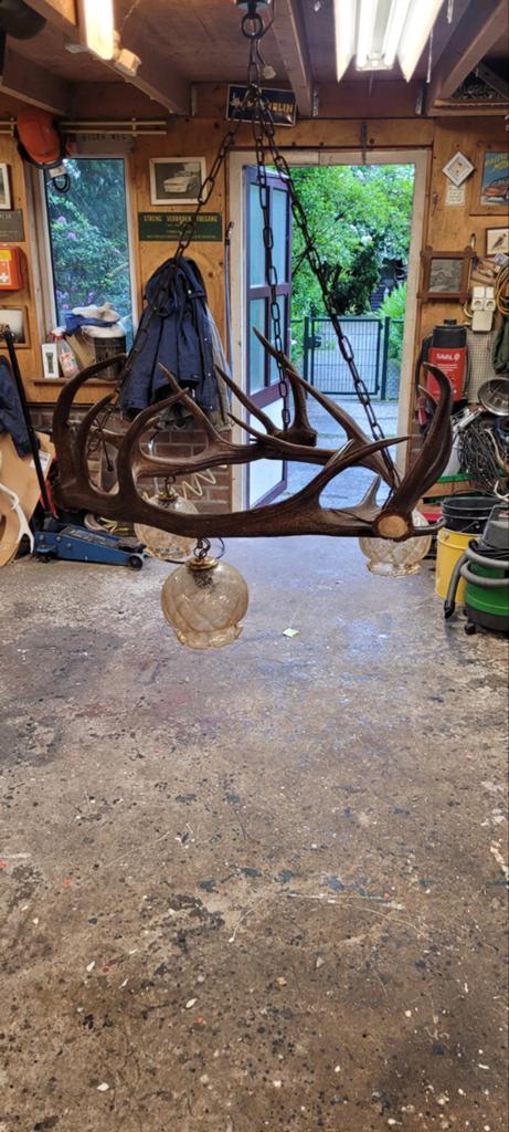 Gewei edelhert lamp geweien jacht jagen Veluwe, Ophalen, Gebruikt, Hert, Gewei of Kop
