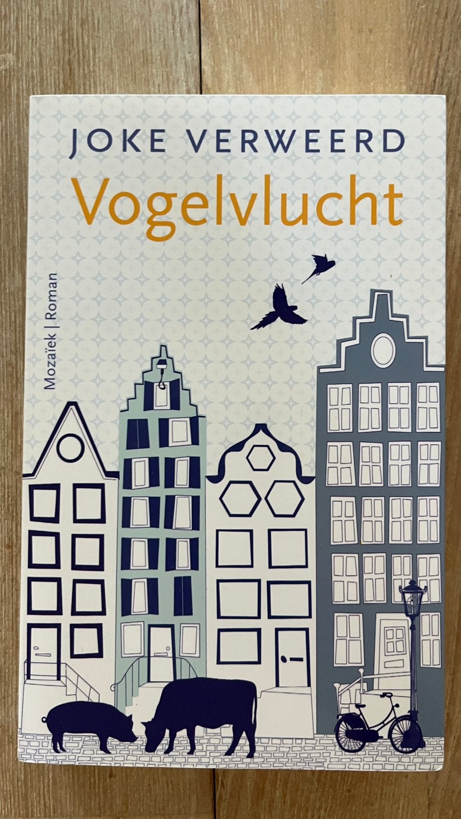 Vogelvlucht Joke Verweerd, Ophalen of Verzenden, Nieuw, Overige onderwerpen
