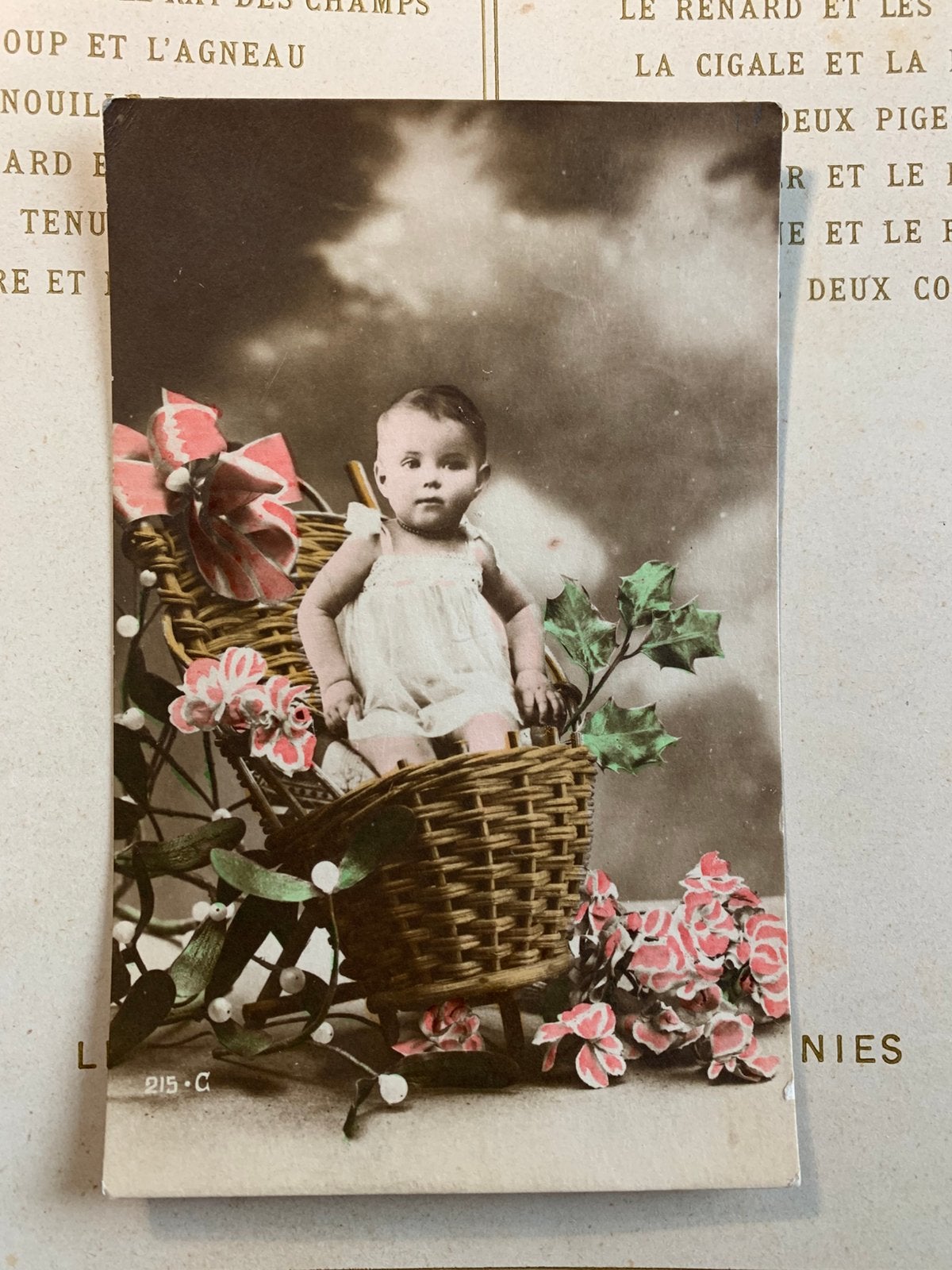 1920 Baby in mandje (HH), Verzamelen, Ophalen of Verzenden, 1920 tot 1940, Gelopen, Kinderen