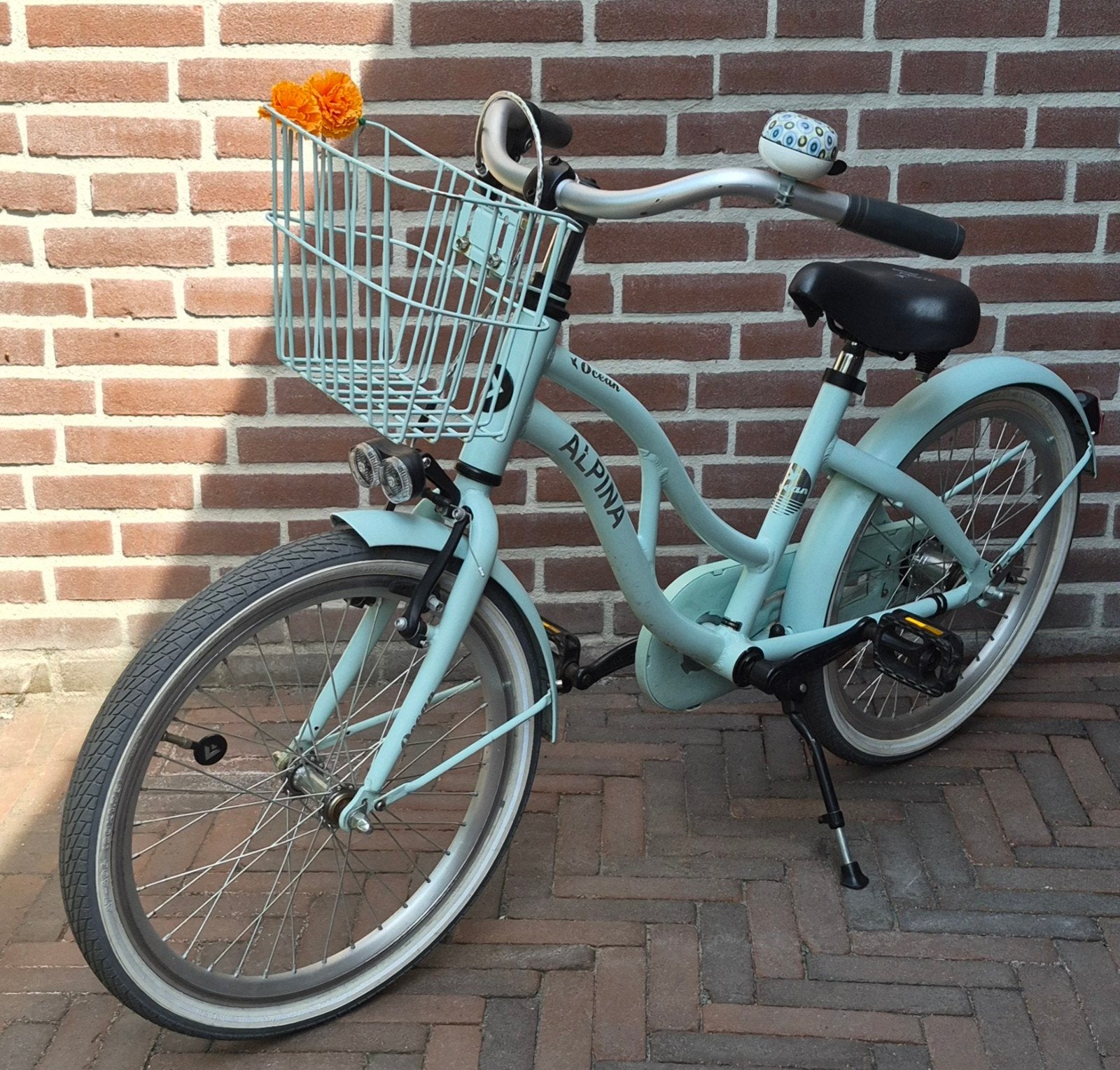 Alpina Ocean 20 inch, Ophalen, Alpina, Zo goed als nieuw, Terugtraprem