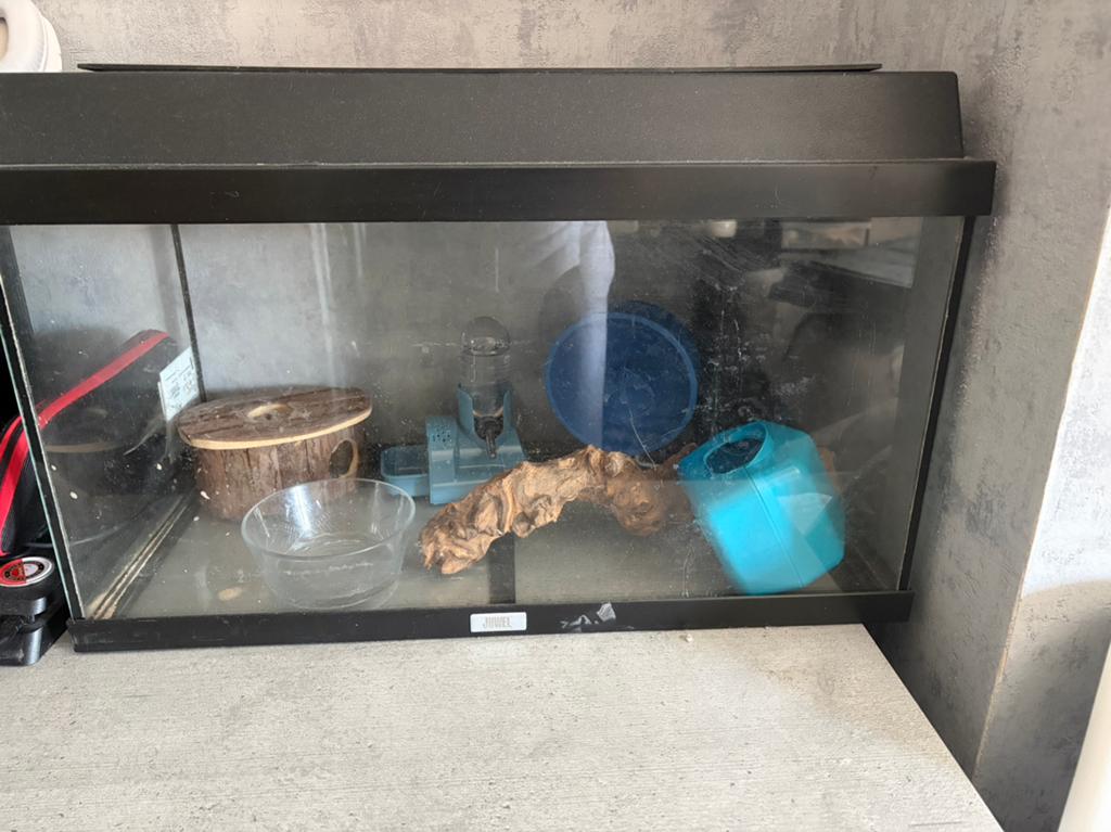 Hamster terrarium incl toebehoren, Dieren en Toebehoren, Minder dan 75 cm, Zo goed als nieuw, Ophalen, Minder dan 60 cm