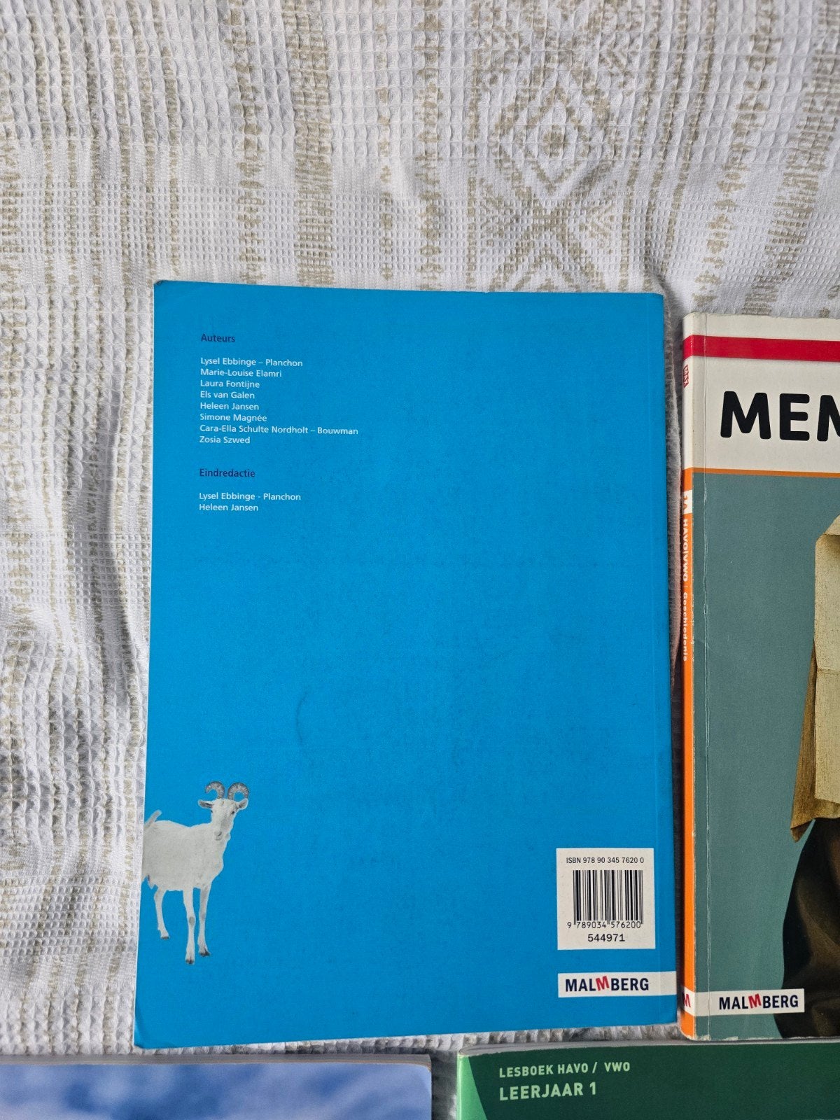 Schoolboeken 1 HAVO/VWO – Getal&Ruimte, MEMO, Blink, De Geo, Boeken, Ophalen of Verzenden, Zo goed als nieuw, HAVO, Aardrijkskunde