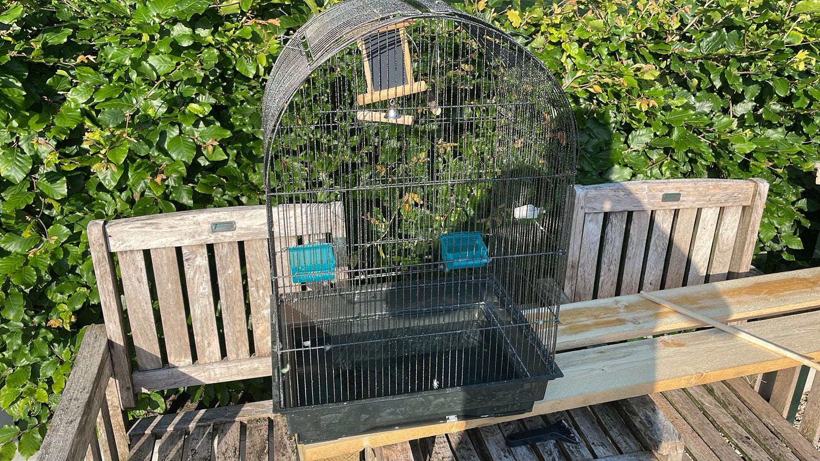 Vogelkooi, Ophalen, Gebruikt, Kunststof, Vogelkooi