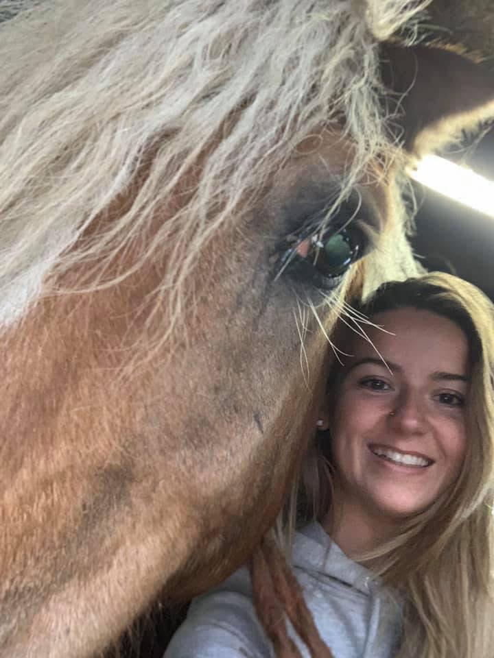 Verzorgpaard/ -pony gezocht, bijrijder aangeboden, Dieren en Toebehoren, Ophalen