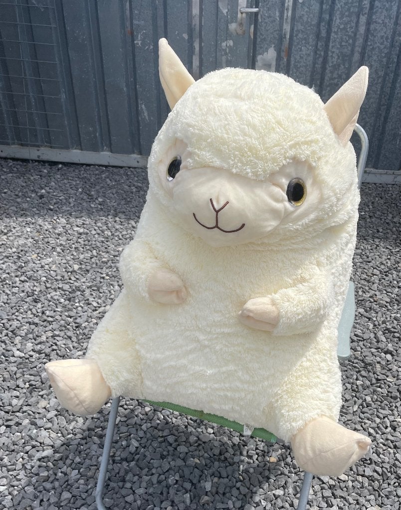 XXL knuffel dier alpaca / lama / schaap wit | 80 cm kermis, Ophalen of Verzenden, Overige typen