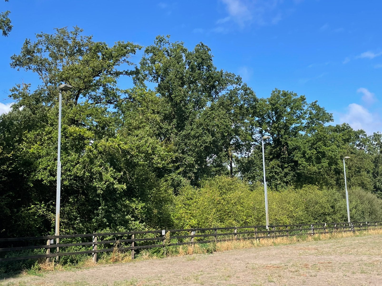 3 kantelbare lichtmasten voor rijbak, Ophalen, Gebruikt