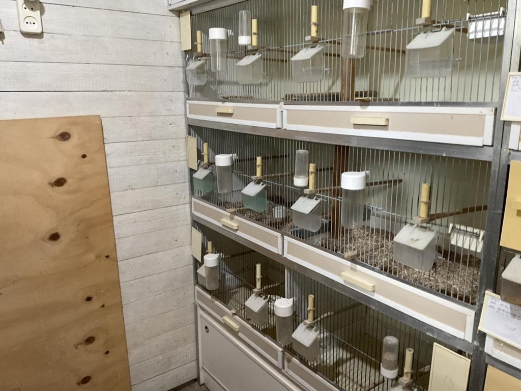 Gehu vluchtkooi of broedkooi, Dieren en Toebehoren, Vogels | Hokken en Kooien, Ophalen, Hout, Broedkooi of Kweekkooi