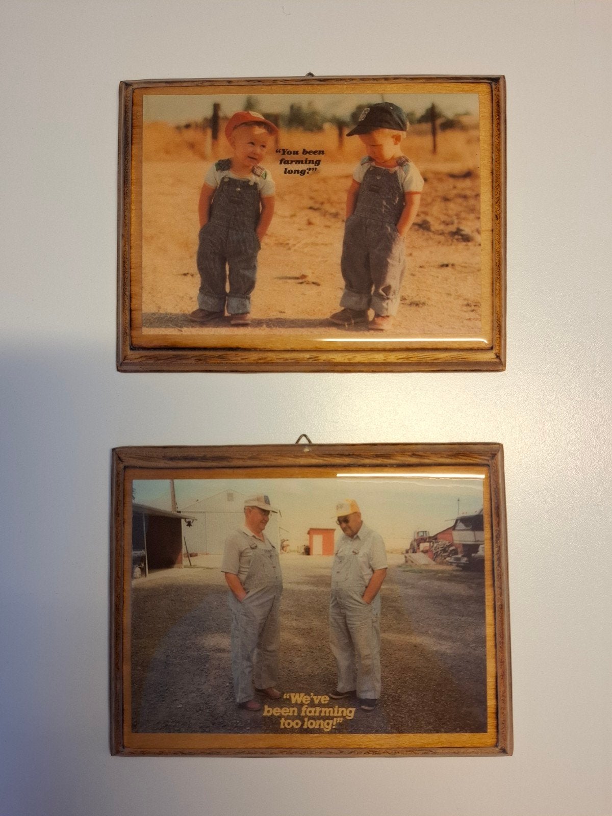 Grappige boerderij foto's op hout - Pat Kelly, Minder dan 50 cm, Gebruikt, Oorspronkelijke maker, Ophalen of Verzenden