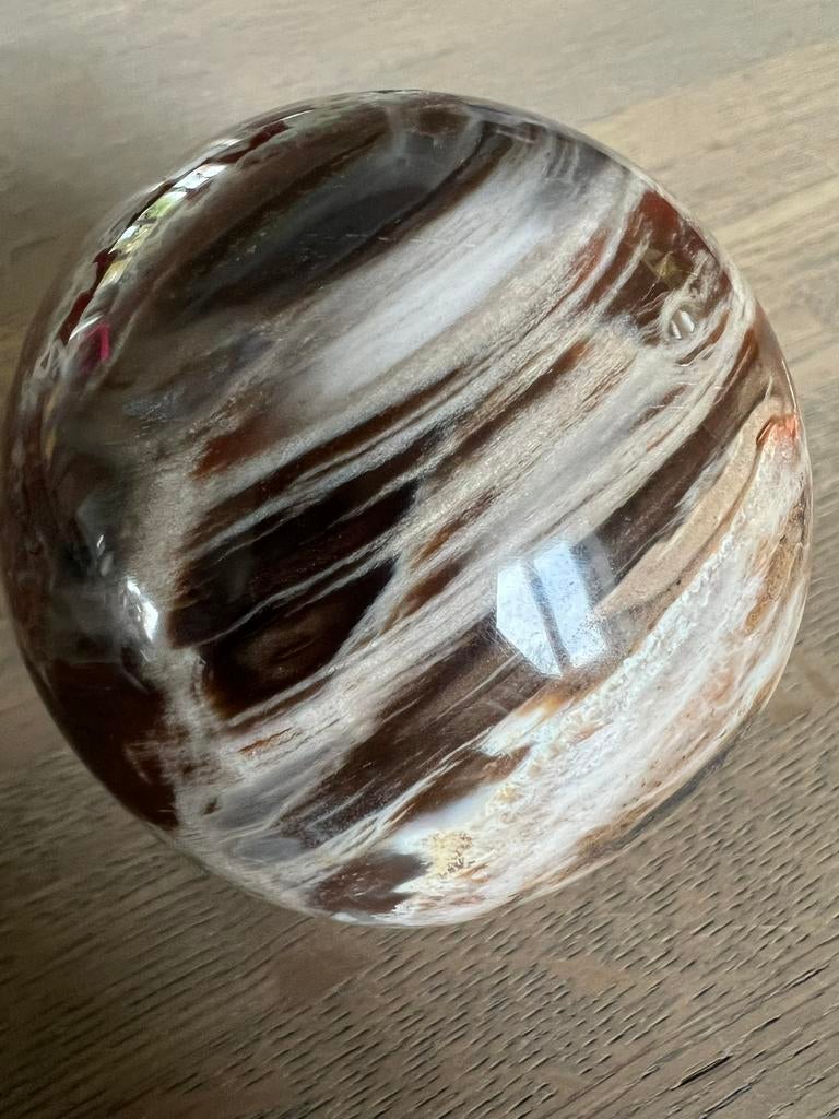 Versteend houten bol 7cm, Ophalen of Verzenden, Mineraal