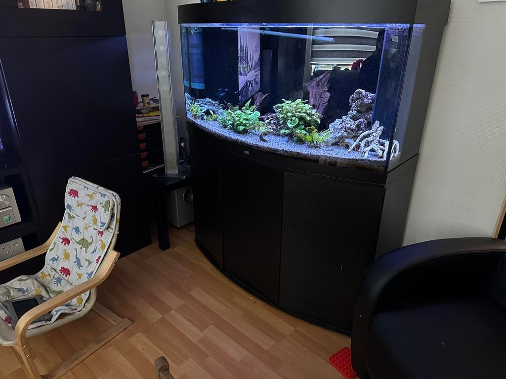 Juwel vision 260 liter curved, Dieren en Toebehoren, Vissen | Aquaria en Toebehoren, Ophalen, Zo goed als nieuw, Gevuld zoetwateraquarium