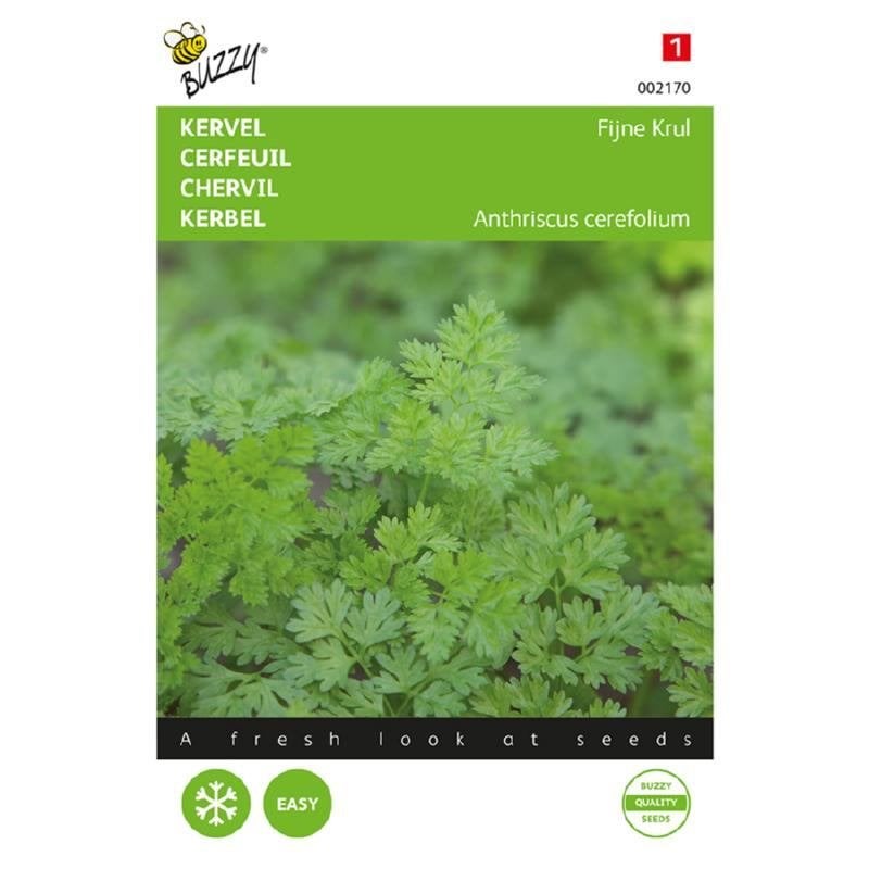 Buzzy Seeds Kervel Fijne Krul kruidenzaden - nieuw, Ophalen of Verzenden, Voorjaar, Volle zon, Zaad