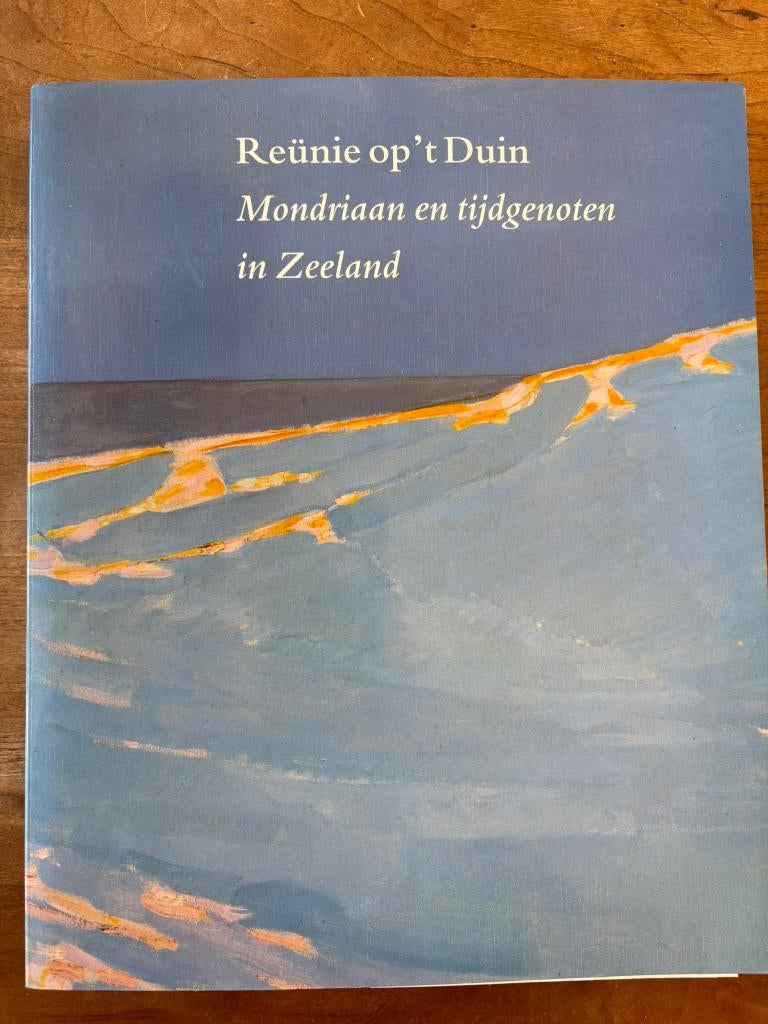 Reunie op 't Duin, Mondriaan en tijdgenoten in Zeeland, Ophalen of Verzenden, Zo goed als nieuw
