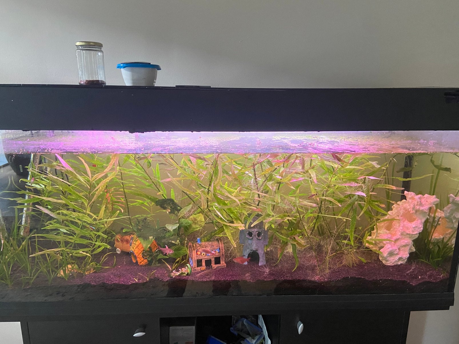 Aqaruim met vissen, Ophalen, Zo goed als nieuw, Aquariummeubel