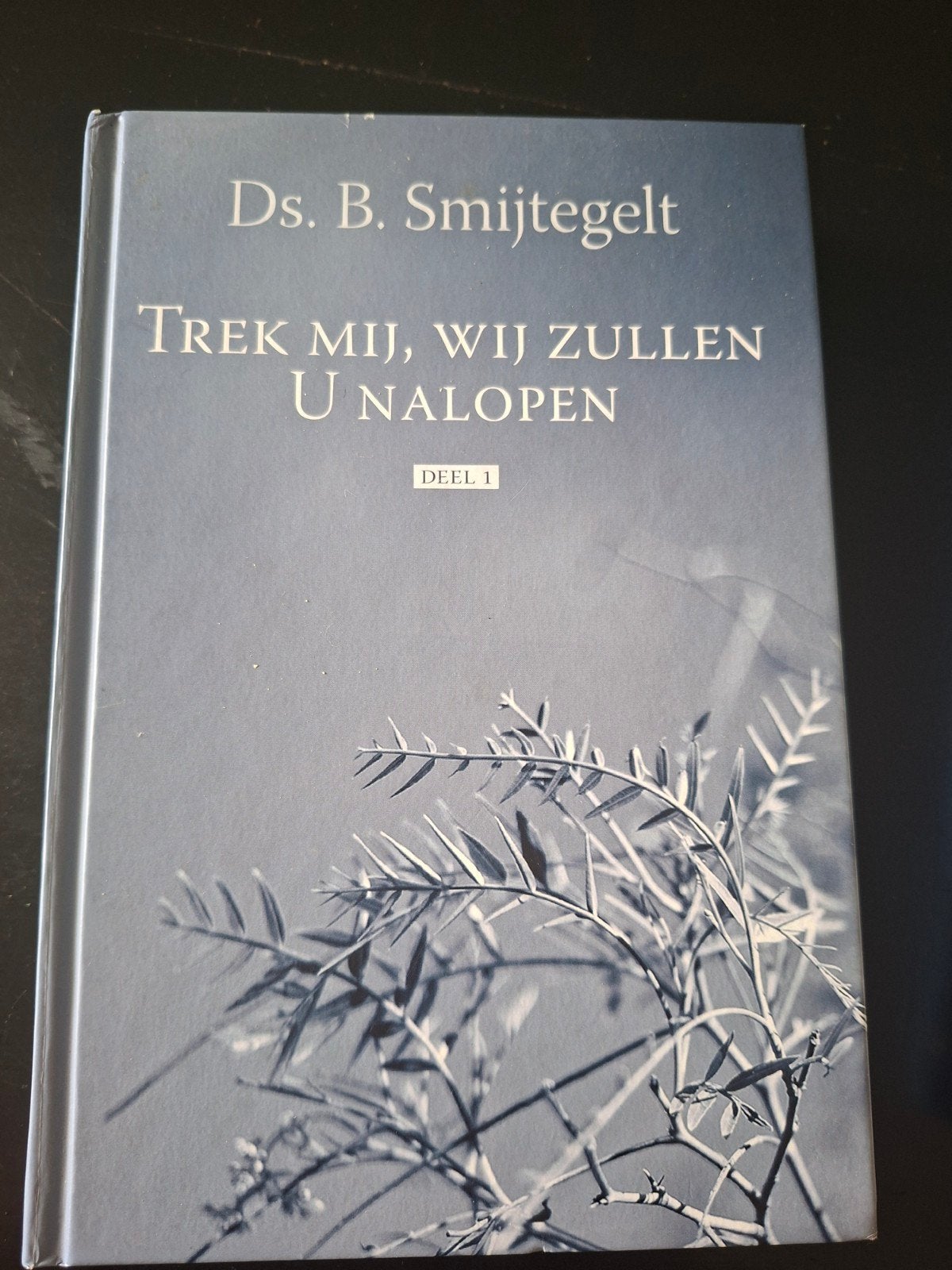 B. Smytegelt - Deel 1 en 2, Ophalen of Verzenden, Zo goed als nieuw, B. Smytegelt
