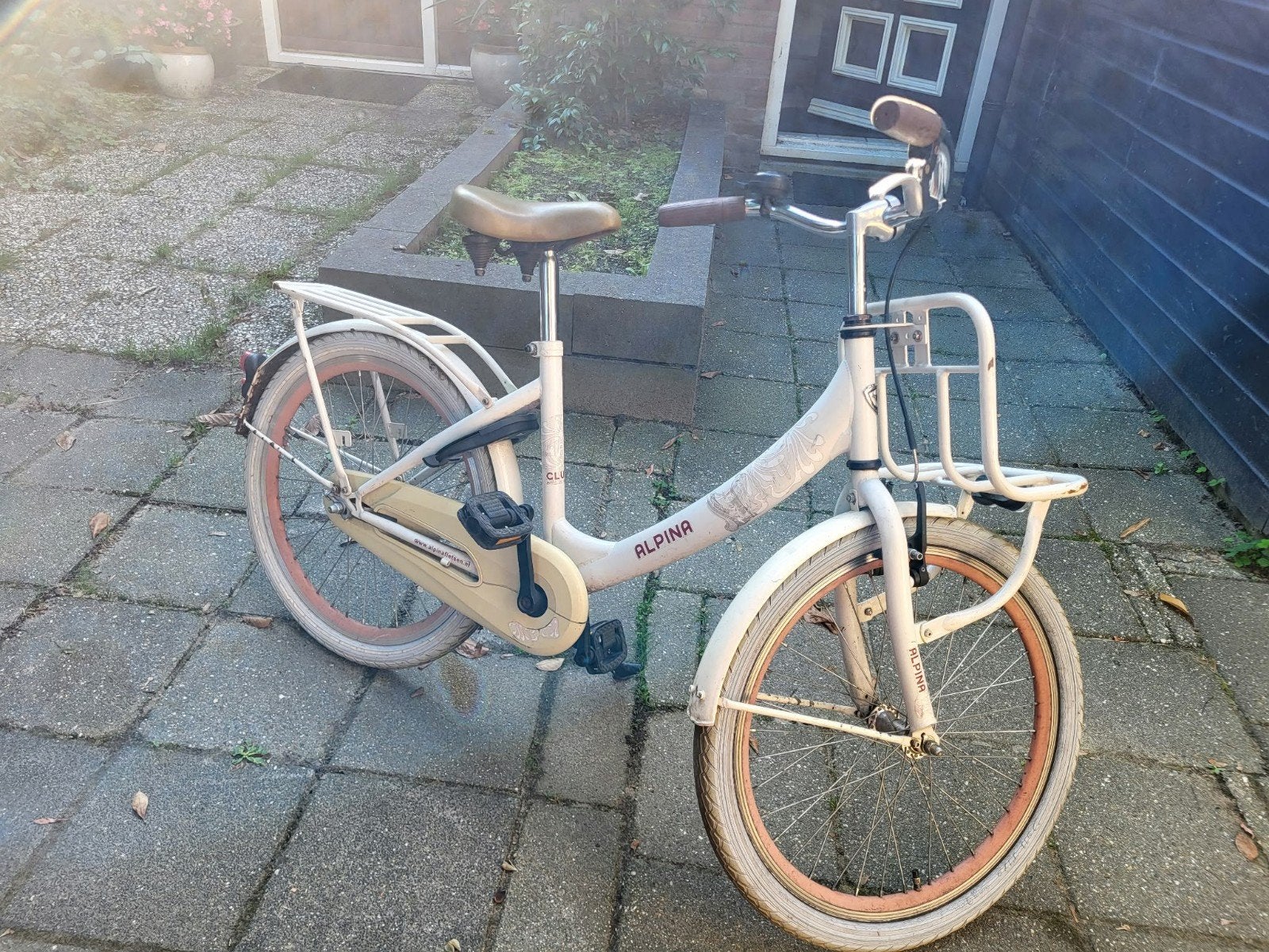 Alpina meisjesfiets 22 inch met voordrager, Ophalen, Terugtraprem, 22 inch, Gebruikt