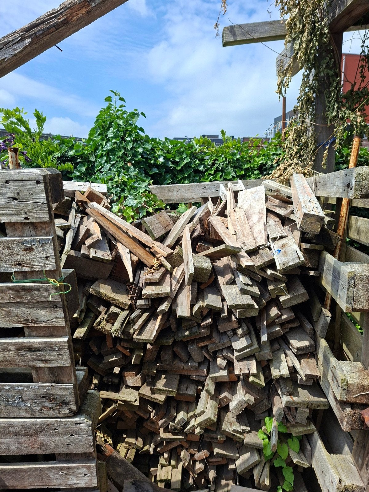 Brandhout: Gemengd hout voor kachel of vuurkorf, 3 tot 6 m³, Ophalen of Verzenden, Overige houtsoorten, Blokken