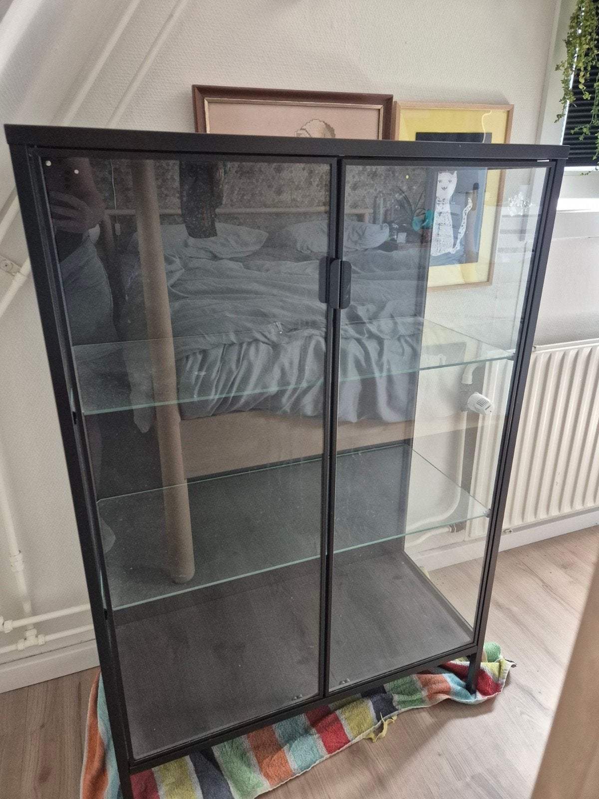 Ikea Rudsta Glazen vitrinekast met metalen frame, Ophalen, 50 tot 100 cm, Glas, Modern